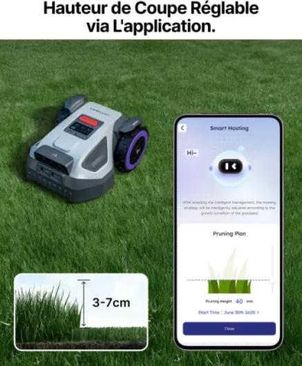 71m-Yig3MSL._AC_SL1500_