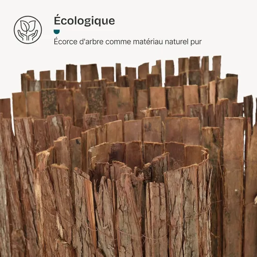 81E4zsWlY4L._AC_SL1500_