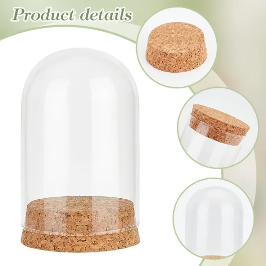 61MDtfoLlKL._AC_SL1001_