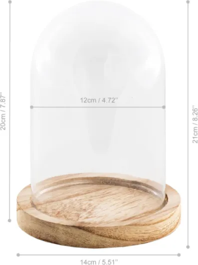 Chaks - Cloche en verre avec socle en bois, dôme transparent avec socle en verre et en bois, décoration pour salon, étagère et table 14 cm x 21 cm