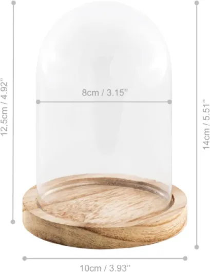 Chaks - Cloche en verre avec socle en bois, dôme transparent avec socle en verre et en bois, décoration pour salon, étagère et table 10 cm x 14 cm