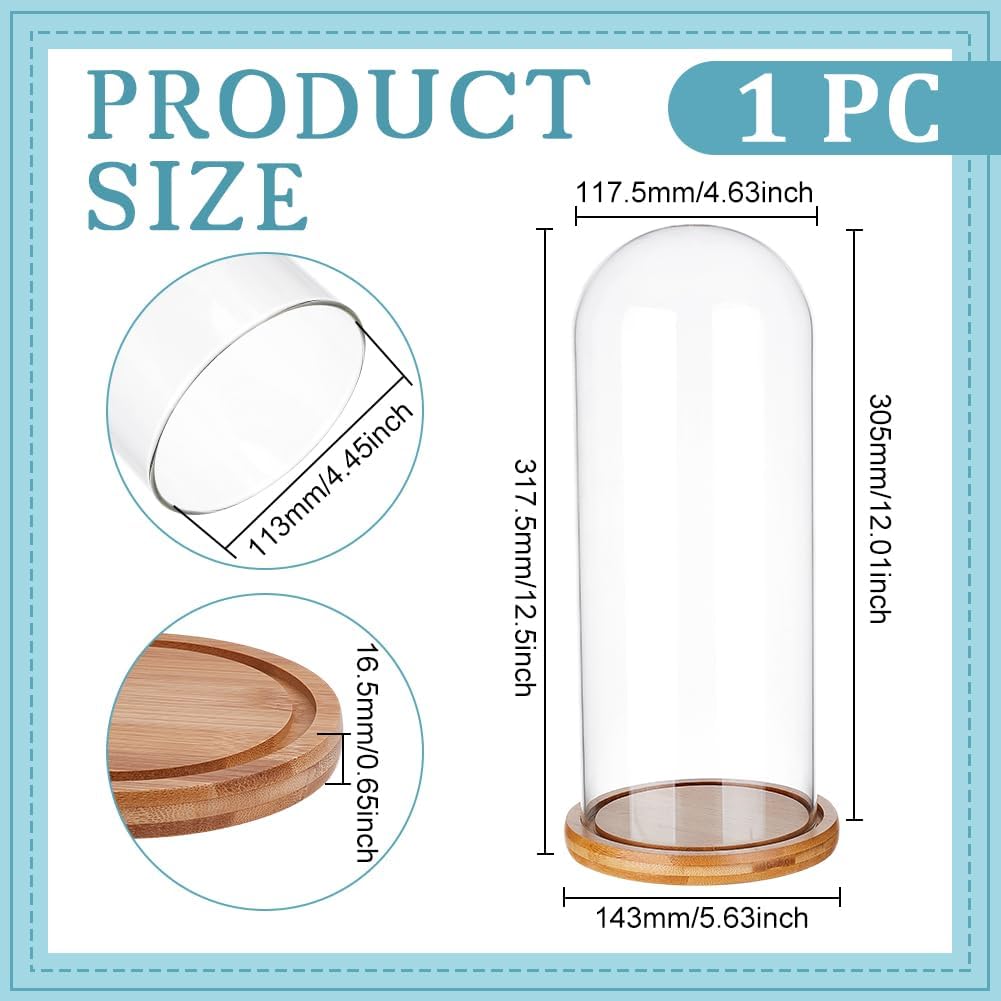 Couvercle en Verre Transparent pour Fleur Éternelle de 11.75x30.5cm Cloche en Verre avec Base en Bois Massif Brun Sable pour Bricolage de Fleurs Trnasparent