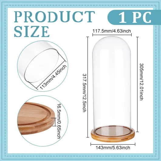 Couvercle en Verre Transparent pour Fleur Éternelle de 11.75x30.5cm Cloche en Verre avec Base en Bois Massif Brun Sable pour Bricolage de Fleurs Trnasparent