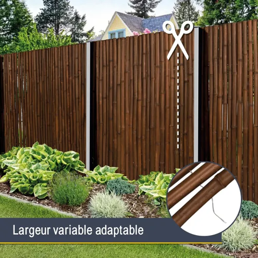 81By dWVJ L._AC_SL1500_