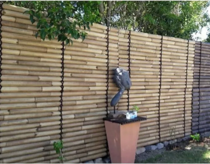 61YDI7r -3L._AC_SL1000_