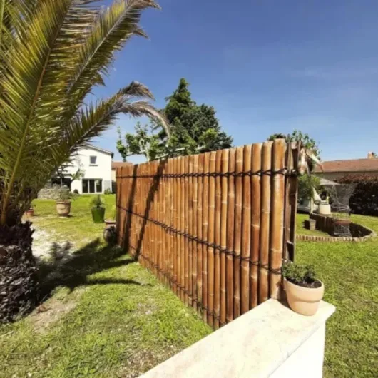 61RtpzHvasL._AC_SL1000_