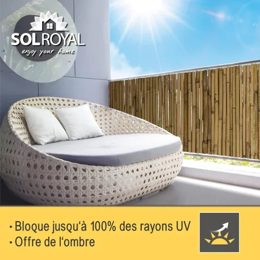 81CLl9dGloL._AC_SL1500_