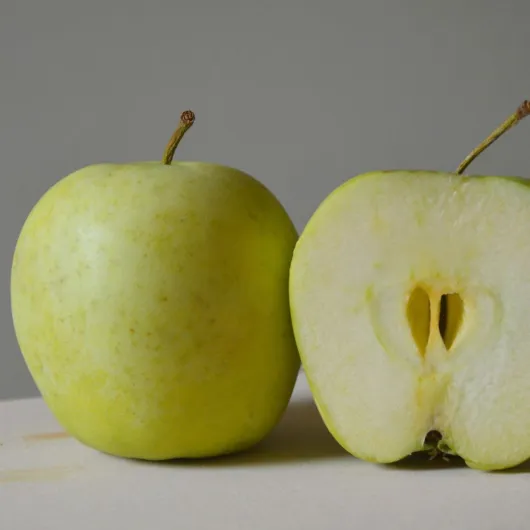 51YmBp-zKTL._AC_SL1080_