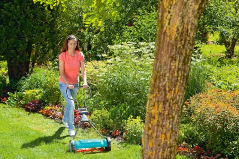 91gOvfT86pL._AC_SL1500_