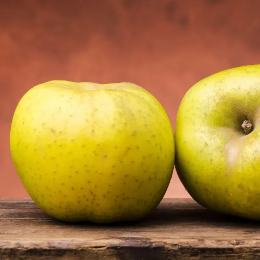 617cXsfMLVL._AC_SL1080_