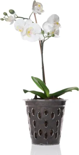 61Ka86k8f3L._AC_SL1500_