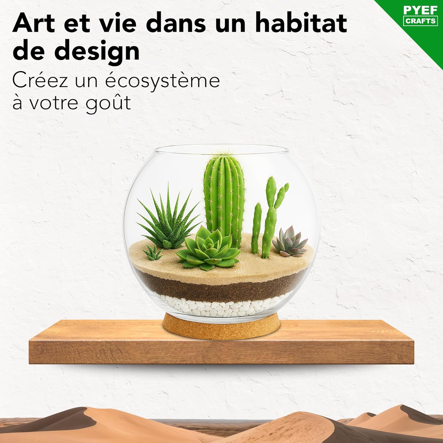Kit terrarium plantes succulentes et cactus DIY - Ecosystème désertique en verre - Aquarium naturel pour plantes souches et cactus - Jardin éternel 2L