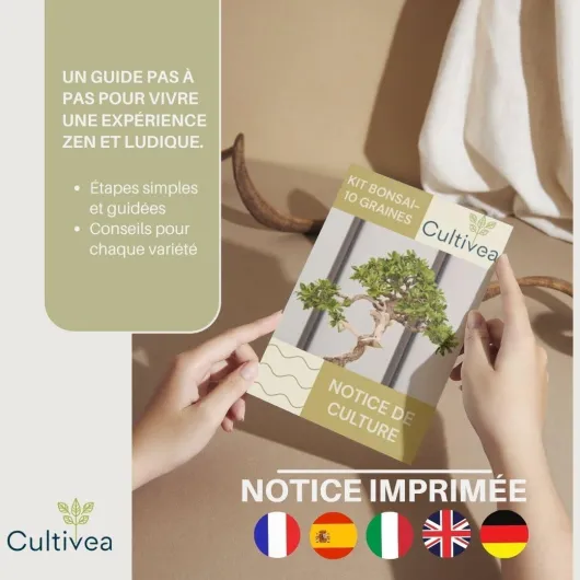 61hTGKXtimL._AC_SL1080_