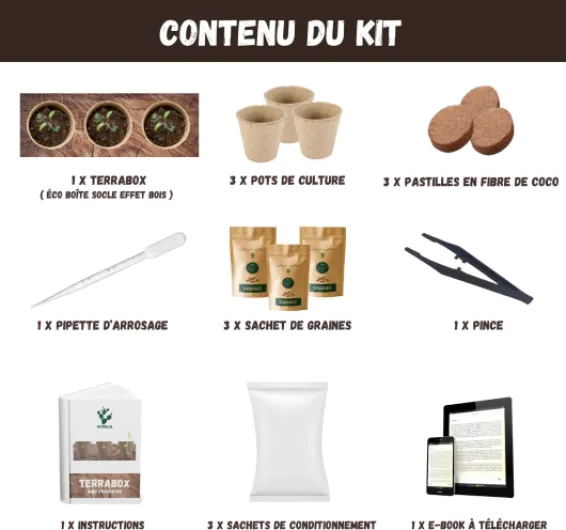 Kit Mini Fruitiers Prêt à Pousser – Fraise, Myrtille & Mini Citronnier – Graines Bio – Cadeau Insolite DIY – Jardin Intérieur & Extérieur – Décoration Écologique – Made in France