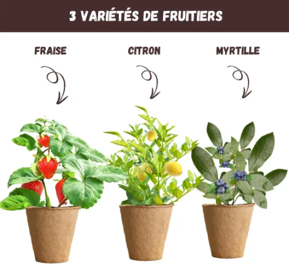 71SkBE91hLL._AC_SL1500_