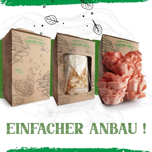 81oj215gFAL._AC_SL1500_