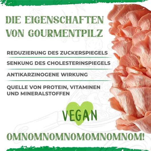 81JVpEvAu6L._AC_SL1500_