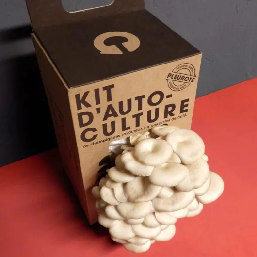 51xp4OjHIXL._AC_SL1000_