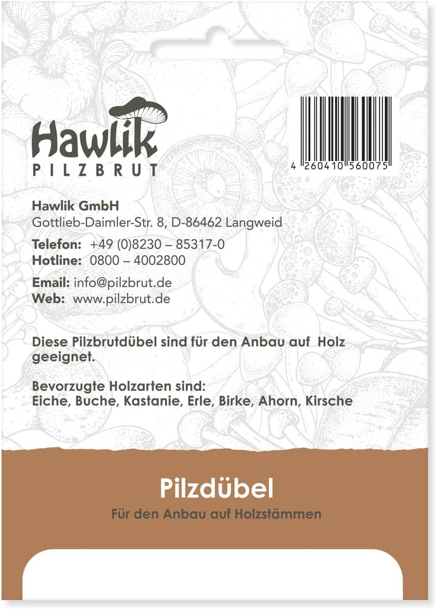 Culture de champignon Shiitake sur bois & troncs d'arbres - 20 chevilles avec mycélium pour cultiver des champignons - cueillir champignons frais