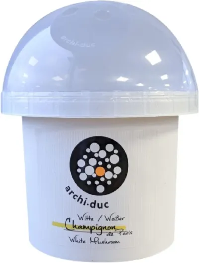 51l-xhGEhSL._AC_SL1000_