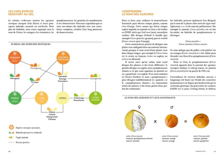 61u5w0zinDL._SL1000_