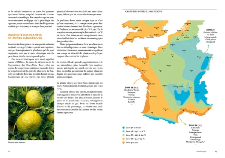 610l3yW-U L._SL1000_