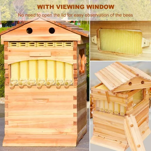 Beehive Kit de ruche automatique en bois avec 7 nids d'abeilles et cadre de qualité alimentaire sans BPA pour débutants et apiculteurs professionnels