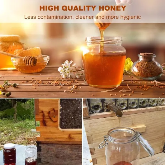 71mwIvQ0J L._AC_SL1000_