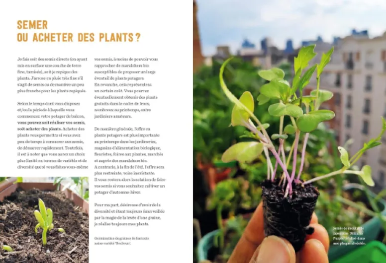 81u zYO9QEL._SL1500_