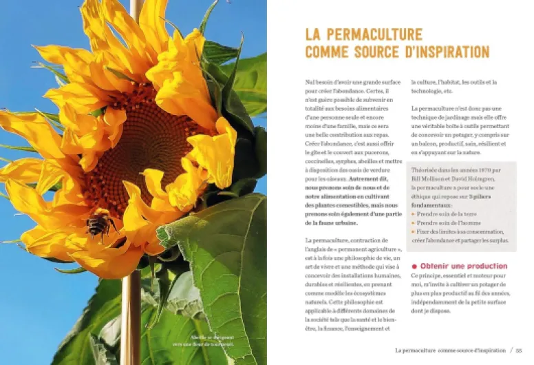 81t8YPDvVhL._SL1500_