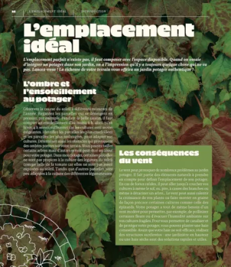 81XTqDz6jsL._SL1500_