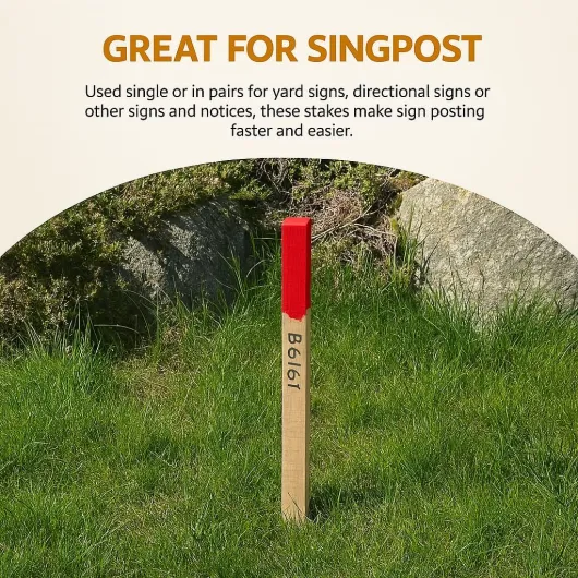 81sz6nXBS4L._AC_SL1024_