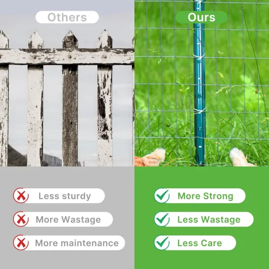 81nG8HYF3ML._AC_SL1500_