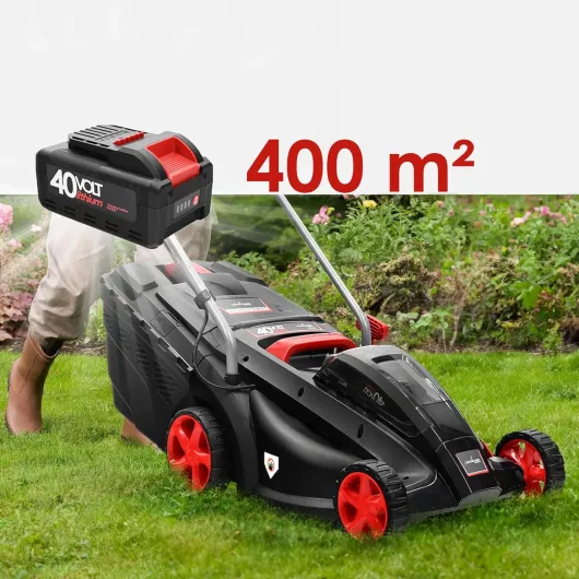 81iWXsvr4SL._AC_SL1500_