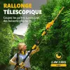 Test Alloyman 20V Max télescopique : le taille-haie sans fil qui fait le job sans casser le dos