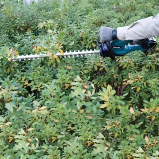 Test Makita DUH507Z : le taille-haie 18V simple, efficace et sans prise de tête