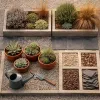 Le jardin sec n'est pas un renoncement : ce qu'il faut accepter et ce qu'on y gagne