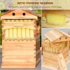 Test Beehive Kit de ruche automatique : une ruche flow pas chère, mais avec pas mal de zones floues