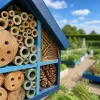 Hôtel à insectes installé en juin : les conditions de réussite que personne ne mentionne