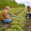 Entretien de jardin annuel : à quelle saison faire appel à un pro ?