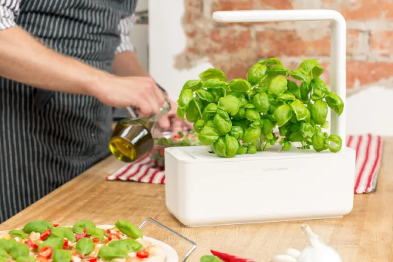 Click & Grow Smart Garden, Potager Intérieur Connecté Avec 3 Capsules Prêtes à Pousser (Basilic), Éclairage et Arrosage Automatiques, Plus Facile que la Culture Hydroponique Blanc Moderne