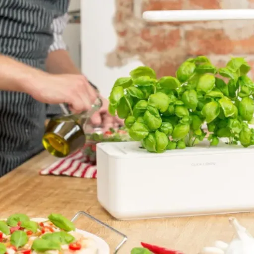 Test Click & Grow Smart Garden : le potager d’intérieur qui rend les plantes (presque) trop faciles