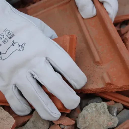 Test Ruvigrab - Pack de 12 gants de travail en cuir : le gros stock pas cher pour le chantier et le jardin