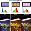 Test Lampe Horticole 2000W BOSYTRO : une fausse 2000W mais qui fait quand même pousser les plantes