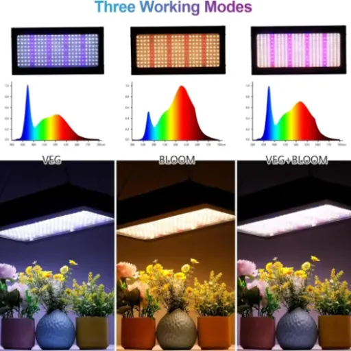 Test Lampe Horticole 2000W BOSYTRO : une fausse 2000W mais qui fait quand même pousser les plantes
