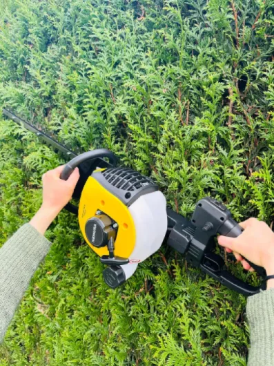 A13jEFIElHL._AC_SL1500_