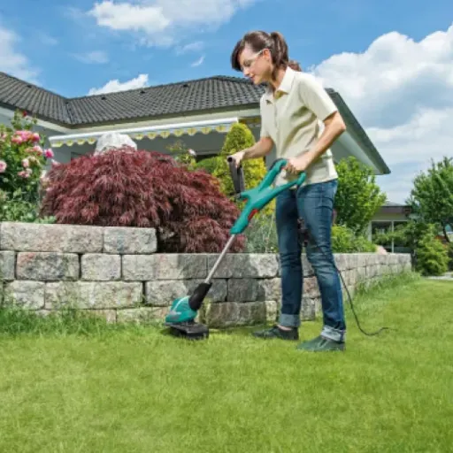 Test Bosch F016800351 : les bobines officielles qui évitent de s'énerver au jardin