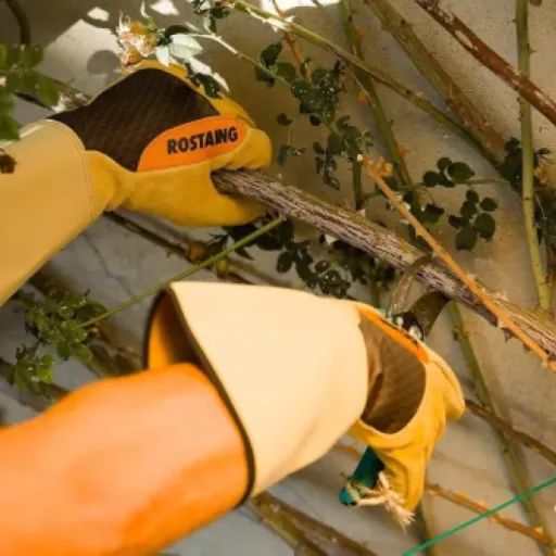 Test ROSTAING Gants RONCIER : les gants qui laissent enfin une vraie chance à vos avant-bras