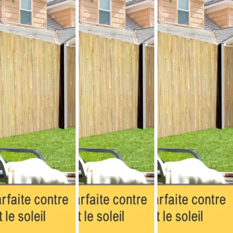 6 meilleurs brise-vues naturels canisse : notre comparatif (2026)