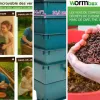 Top 5 : meilleurs lombricomposteurs (juin 2026)